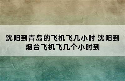 沈阳到青岛的飞机飞几小时 沈阳到烟台飞机飞几个小时到